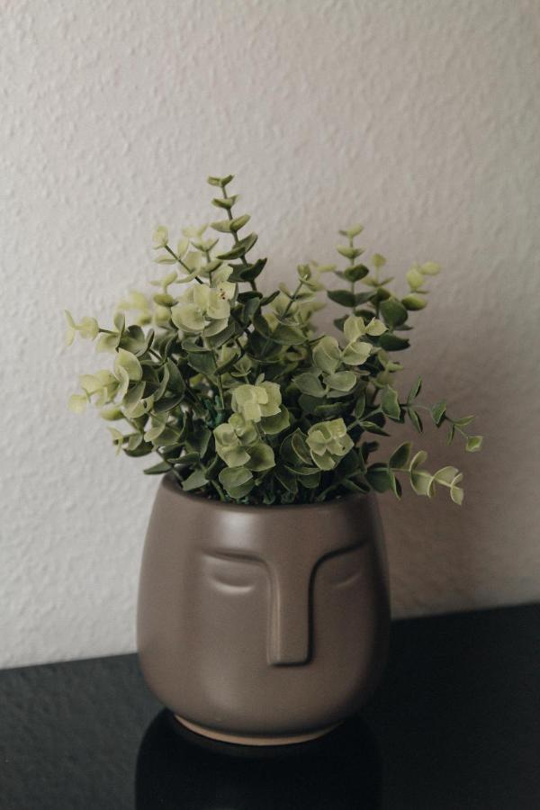 Apartment And Exclusive Im Herzen Saarbrueckens *